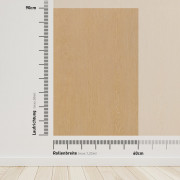 Reed