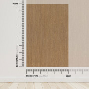 Novus